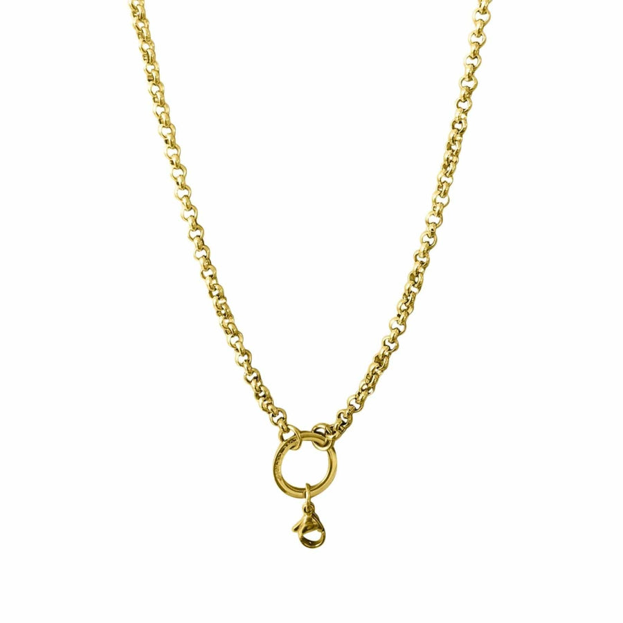 Rolo Chain with Parrot Clasp - gold 
