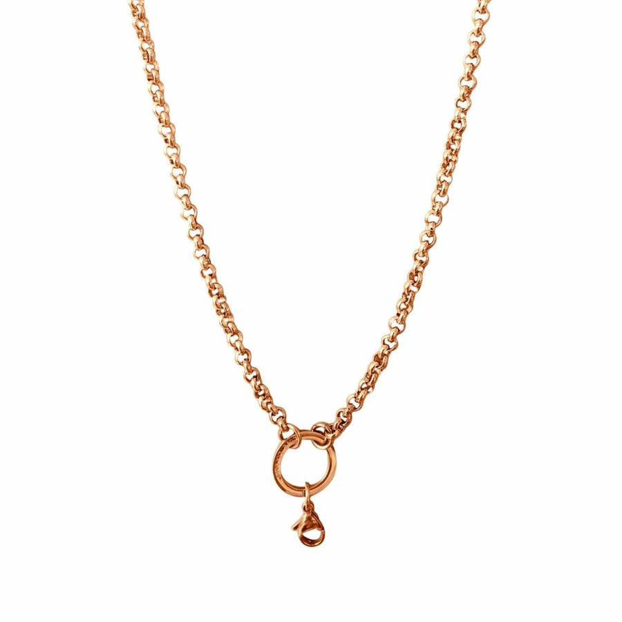 Rolo Chain with Parrot Clasp - rose gold 